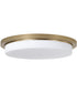 Dominic 1-Light Flush Aged Brass