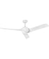 Tiburon 56" Smart Fan Matte White