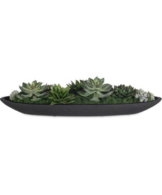 Verde Succulent Centerpiece In Bowl