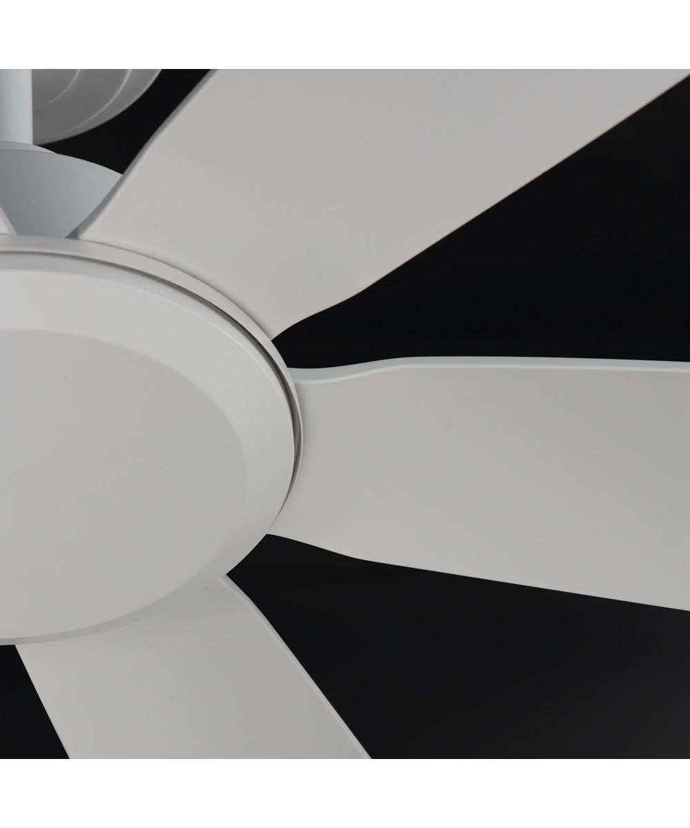 Albatross 72 inch 6-Blade Marine Grade Fan Matte White