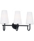 Averitt 3-Light Vanity Matte Black
