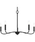 Ilia 5-Light Chandelier Matte Black