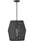 Luca 1-Light Large Convertible Pendant in Black*