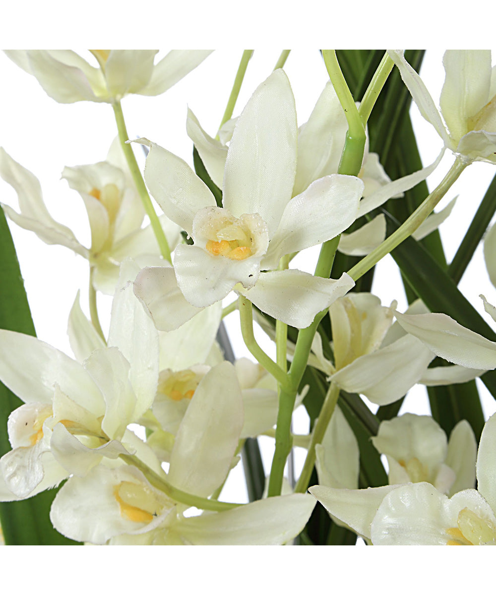 Ariana Orchid Planter