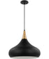 Phoenix 1-Light Pendant Matte Black / Burnished Brass