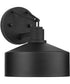 Precinct 1-Light Urban Industrial Outdoor Wall Lantern Textured Black