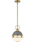 Everton 1-Light Pendant Matte Gray