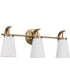 Drake 3-Light Vanity Aged Brass