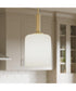 Reines 1-Light Pendant with Opal Glass Shade Brushed Gold