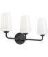 Celino 3-Light Bath & Vanity Black