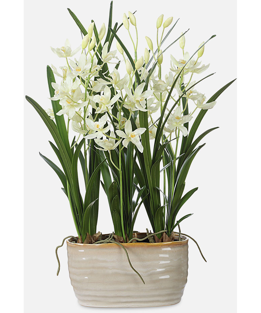 Ariana Orchid Planter