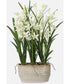 Ariana Orchid Planter