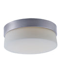 flush mount