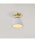 Collins 1-Light Close-to-Ceiling Brushed Brass