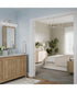 Ilia 4-Light Bath Vanity with Clear Glass Shade Brushed Nickel