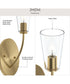 Jheni 1-Light Wall Sconce with Clear Glass Shades Brushed Gold