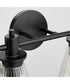 Lawton 4-light Bath Vanity Light Matte Black