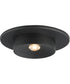 Caldera LED Flush Mount Black