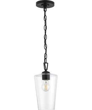 Celino 1-Light Pendant Black