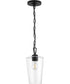 Celino 1-Light Pendant Black