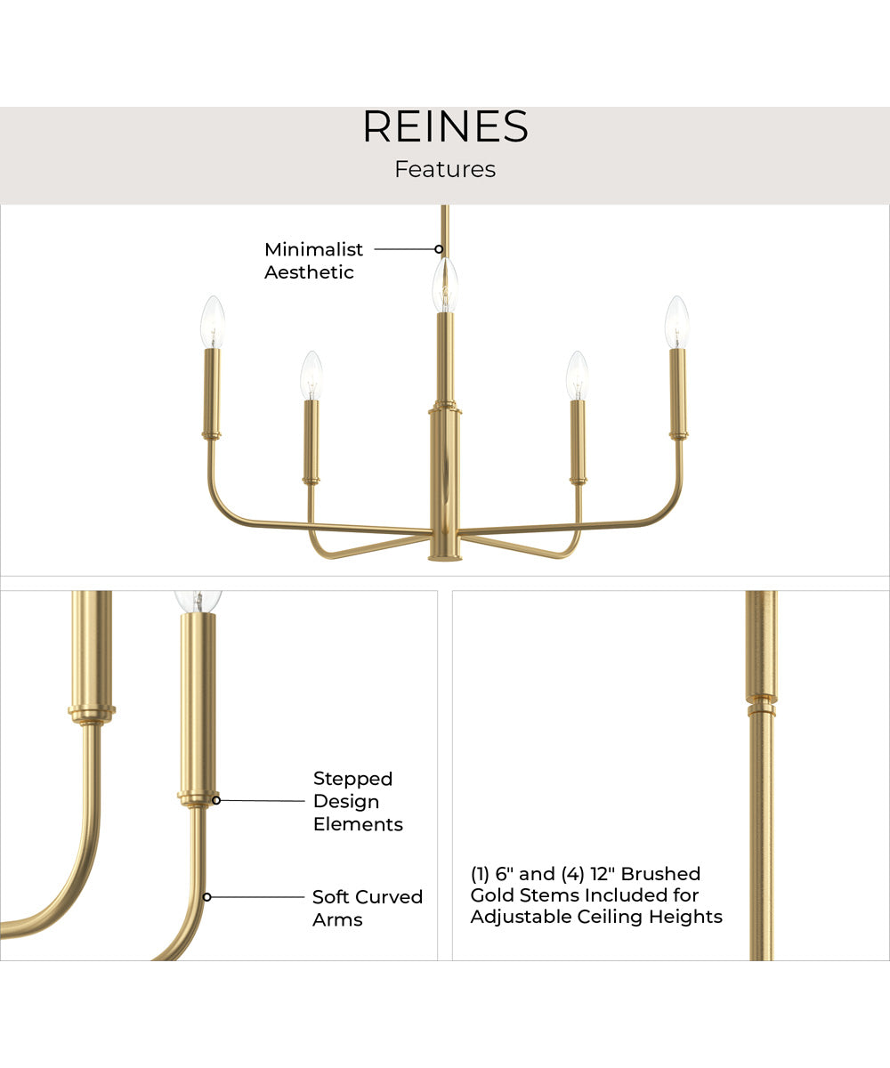 Reines 5-Light Medium Chandelier Brushed Gold