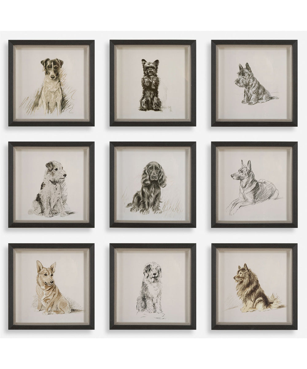 Loyal Companion Framed Dog Prints, Set of 9