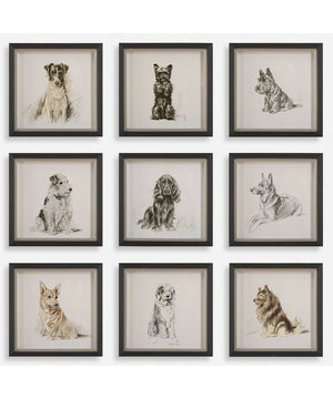 Loyal Companion Framed Dog Prints, Set of 9