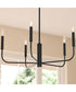 Reines 5-Light Medium Chandelier Matte Black