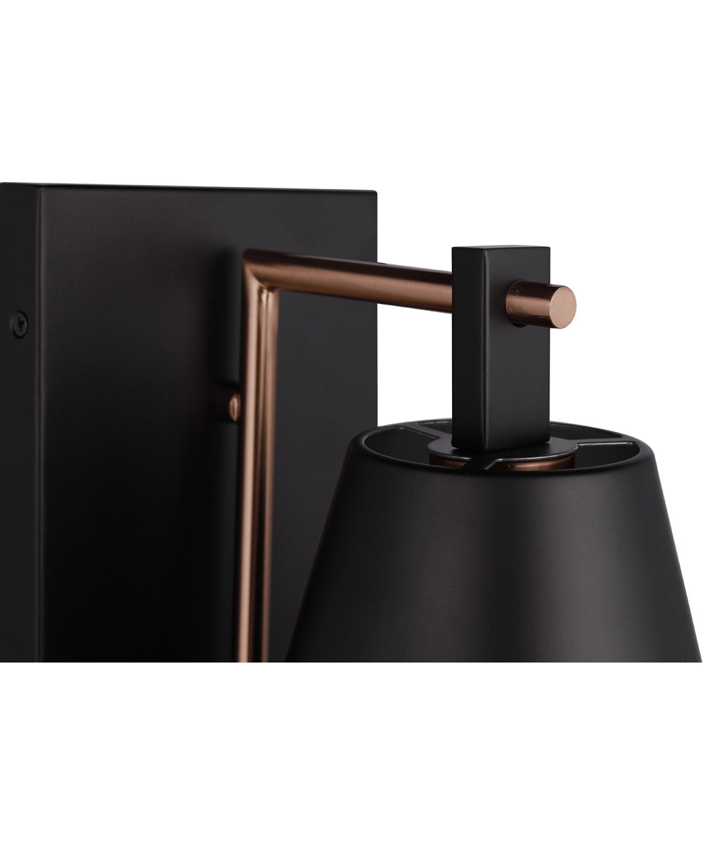Blake 1-Light Lighting Flat Black/Satin Brass