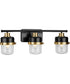 Beckner 3-Light Clear Glass Urban Industrial Bath Light with Vintage Brass Accents Matte Black