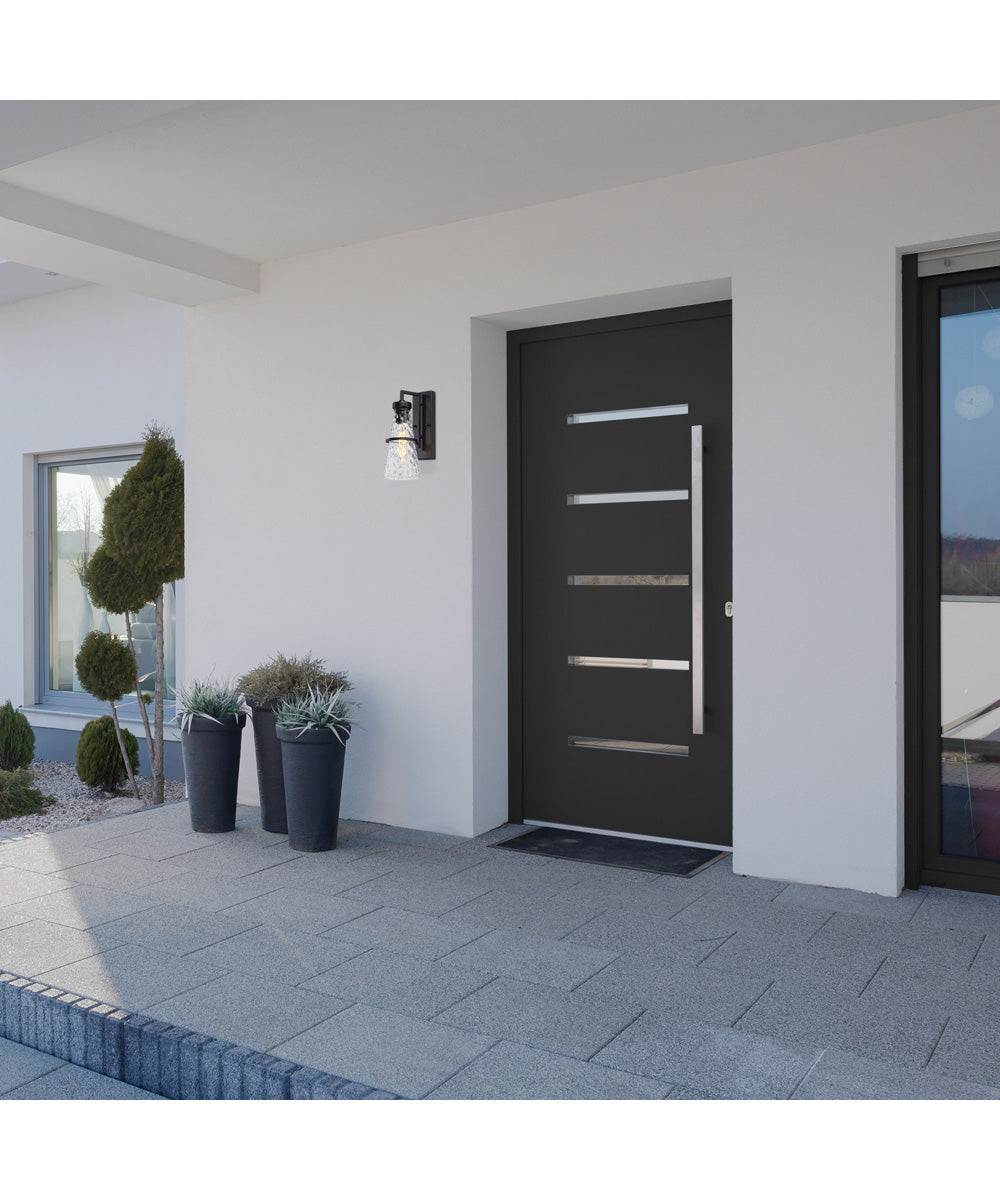 Field Daisy Lane Outdoor Wall Sconce Black