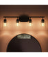 Reines 4-Light Bath Vanity with Clear Glass Shades Matte Black