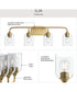 Ilia 4-Light Bath Vanity with Clear Glass Shade Brushed Gold