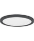 Chip 11 inch 26W RD LED Flush Mount - 5CCT Black