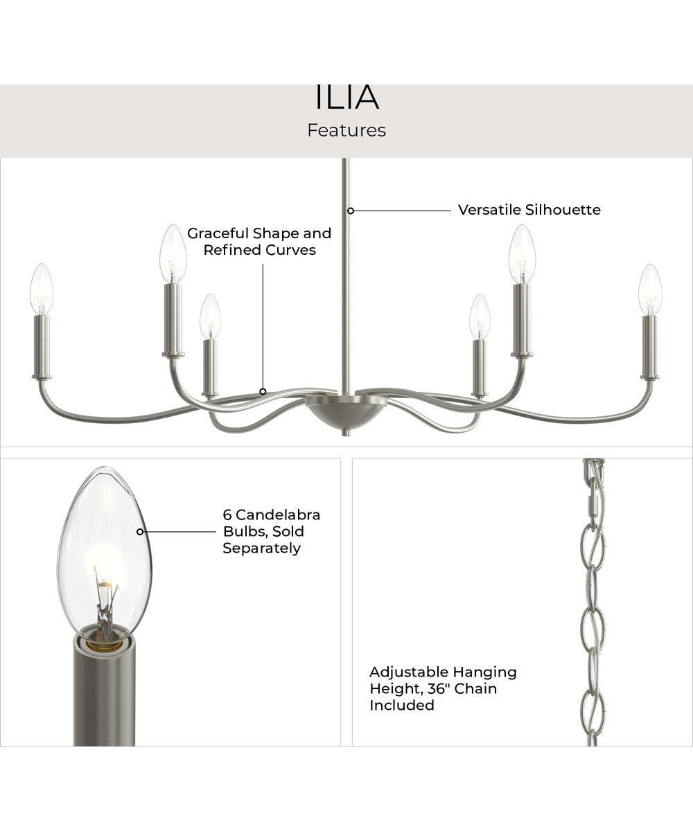 Ilia 6-Light Large Chandelier Brushed Nickel