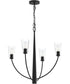 Jheni 4-Light Chandelier with Clear Glass Shades Matte Black