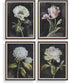 Florals On Black Framed Prints, Set of 4
