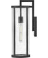 Alfie 1-Light Medium Wall Mount Lantern in Black