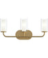 Mack 3-Light Vanity Light with Layered Glass Shades Brushed Gold