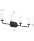 Mack 4-Light Vanity Light with Layered Glass Shades Matte Black