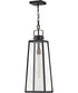 Hugh 1-Light Large Hanging Lantern in Black