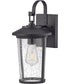 Banks 1-Light Medium Wall Mount Lantern in Black