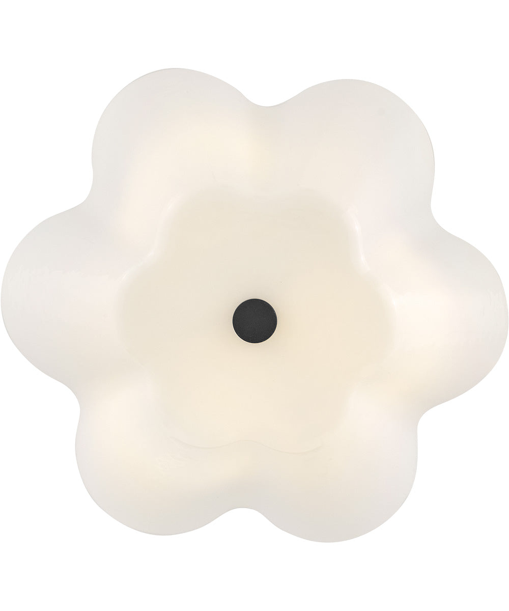 Honey 3-Light Medium Semi-Flush Mount in Black