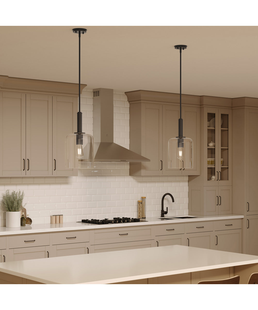Reines 1-Light Pendant with Clear Glass Shade Matte Black
