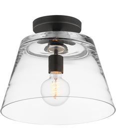 Hudson 1-Light Semi-Flush Mount/Pendant Black