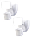 Motion Security & Flood Lights
