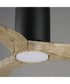 Drifter 52 inch Outdoor Hugger Fan w LED Black / Driftwood