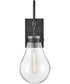 Eloise 1-Light Large Single Light Sconce in Black