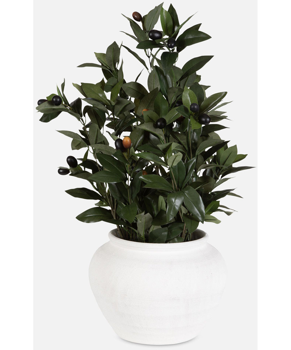 Elena Olive Centerpiece