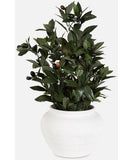uttermost